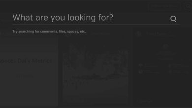 Photo of Find what you’re looking for with Hightail’s search bar
