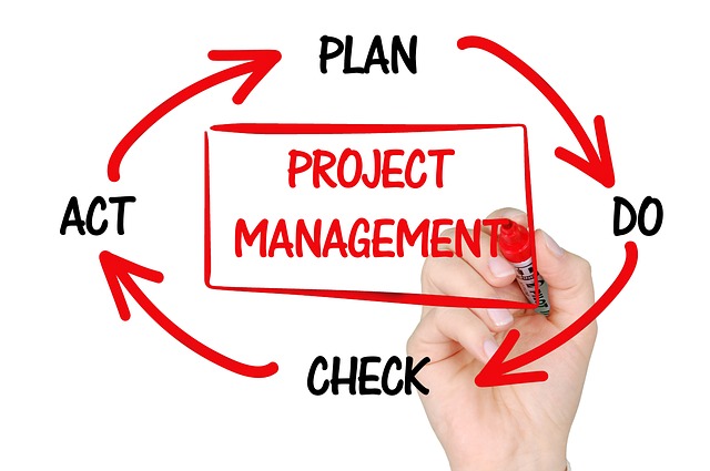 What makes a project manager successful? - Hightail Blog